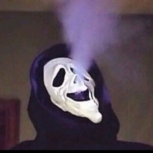 Meet your Posher, Lilly